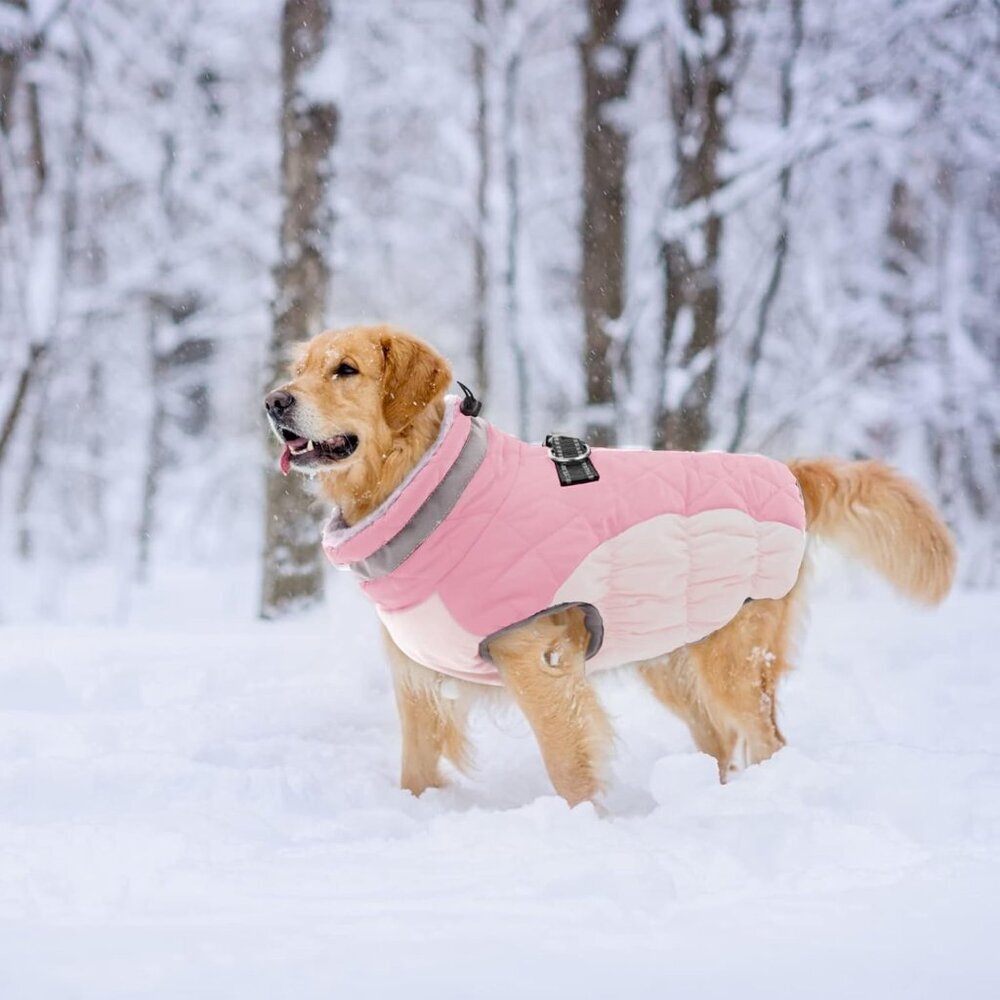 Lelepet Dog Coat
